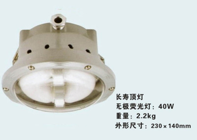 江苏欧辉照明灯具有限公司-供应NFC9176长寿顶灯 40W 无极长寿顶灯 低频长寿顶灯